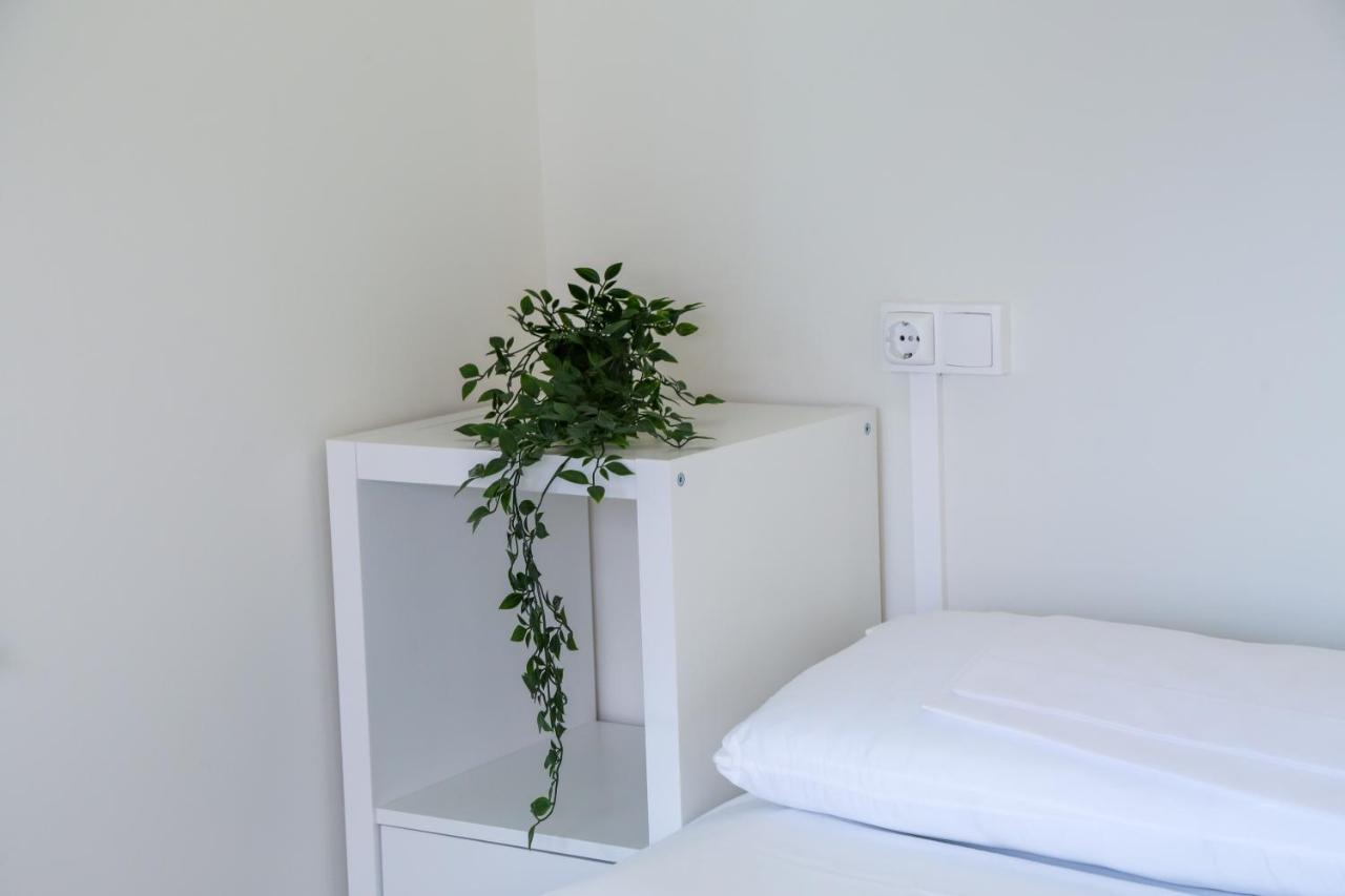 Aterpe Kanpezu Hostel Santa Cruz de Campezo Eksteriør billede